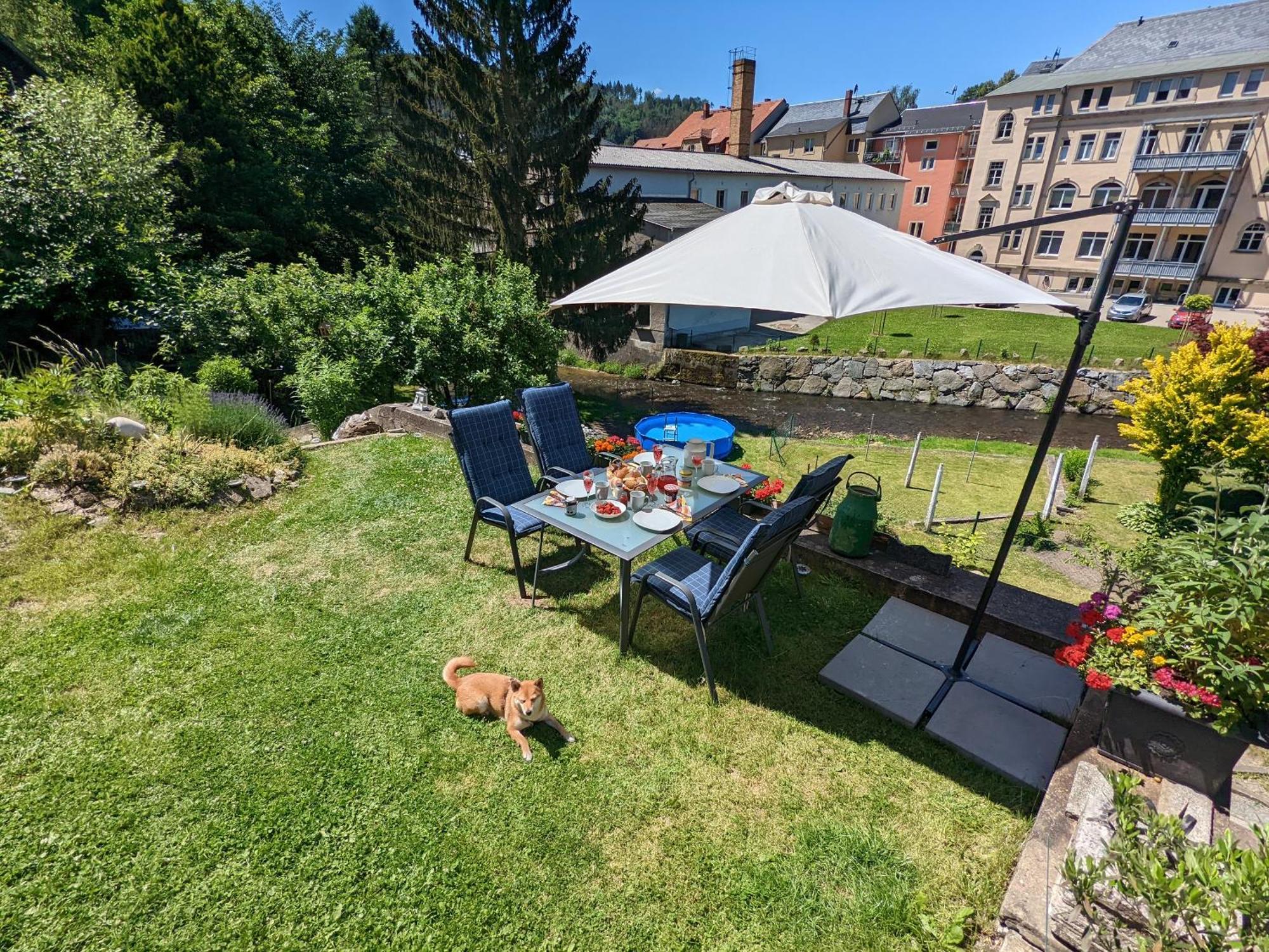 F4 - Urlaubsmagie - Grosse Wohnung Fuer Bis Zu 10 Personen Sebnitz Exteriér fotografie