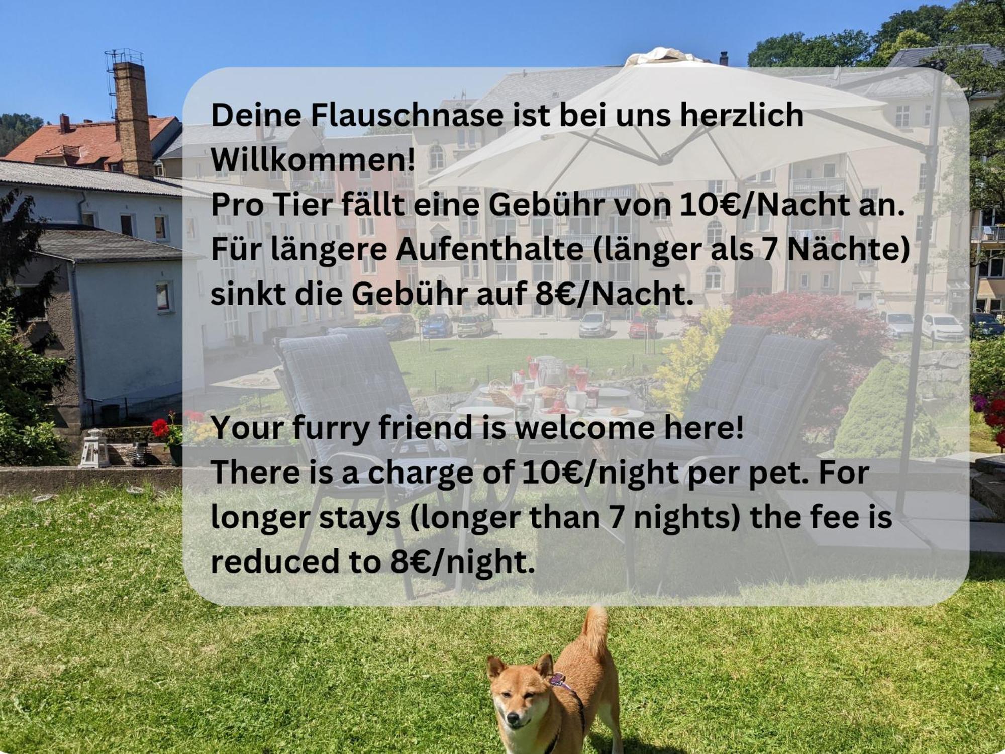 F4 - Urlaubsmagie - Grosse Wohnung Fuer Bis Zu 10 Personen Sebnitz Exteriér fotografie